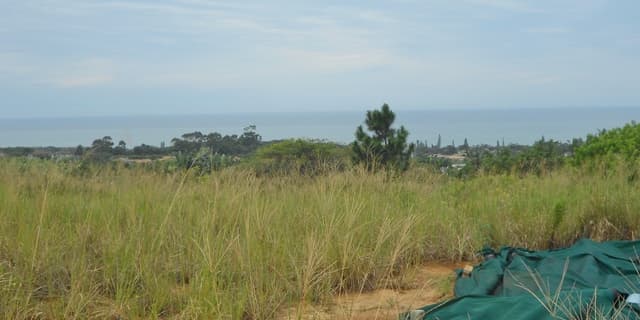 Listing photo