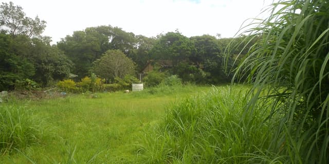 Listing photo