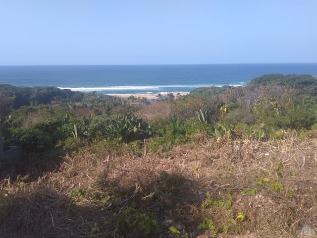 Listing photo