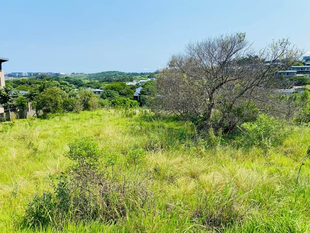 Listing photo