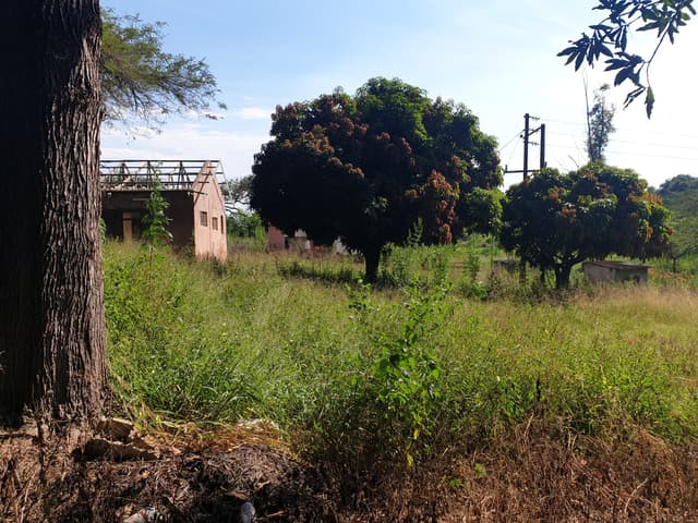 Listing photo