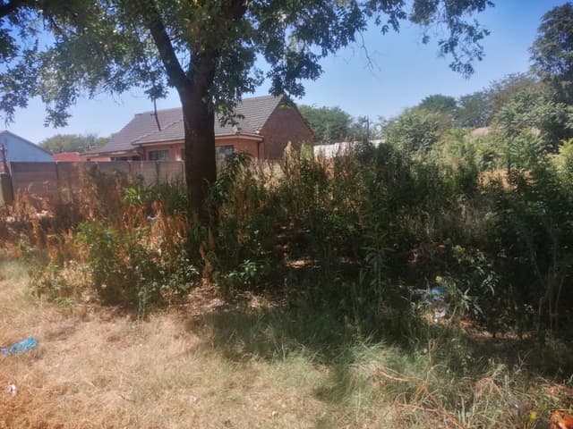 Listing photo