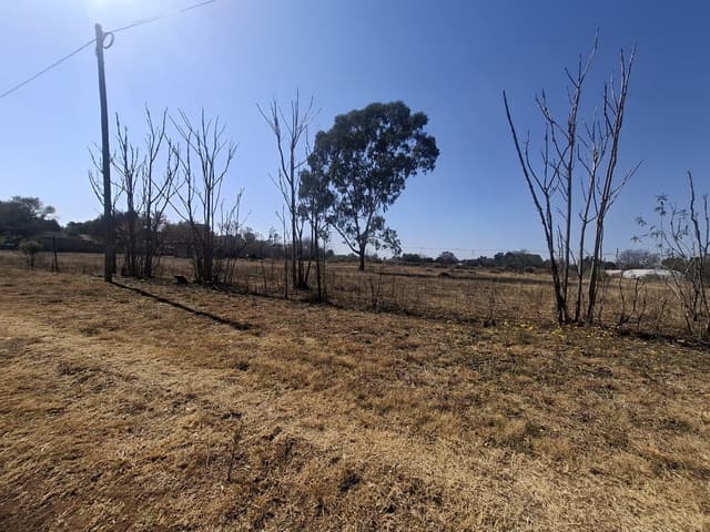 Listing photo