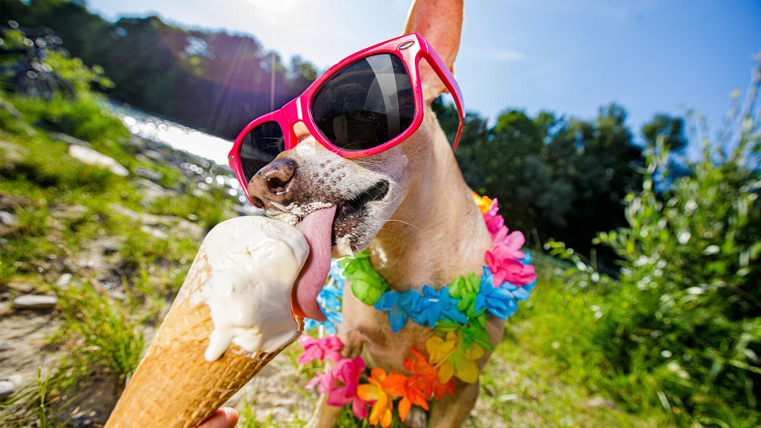 What is the cooling-off period when buying a Home
