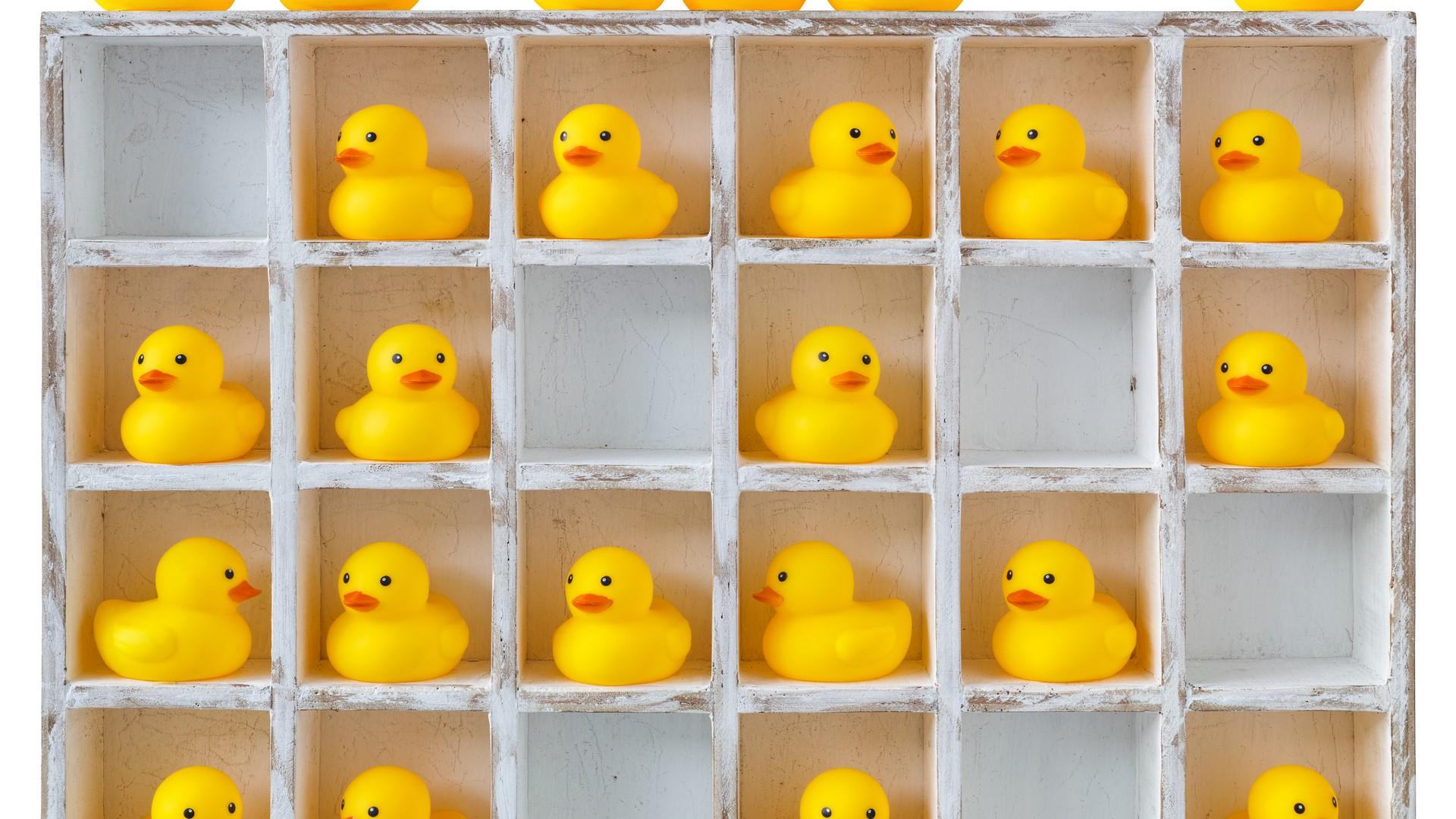 TENANT SELECTION IS IMPERATIVE TO RENTAL SUCCESS