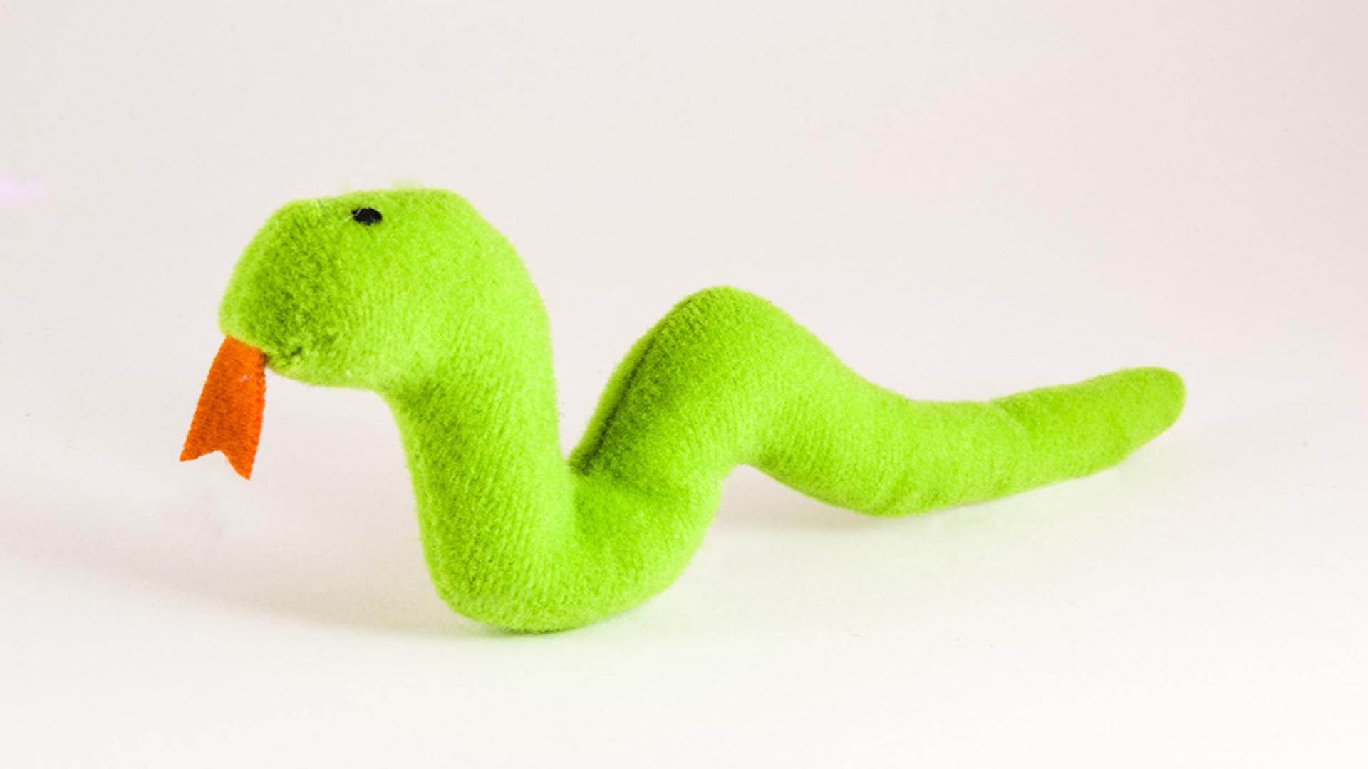 HOUSE RULES FOR KEEPING SNAKES AS PETS IN SA