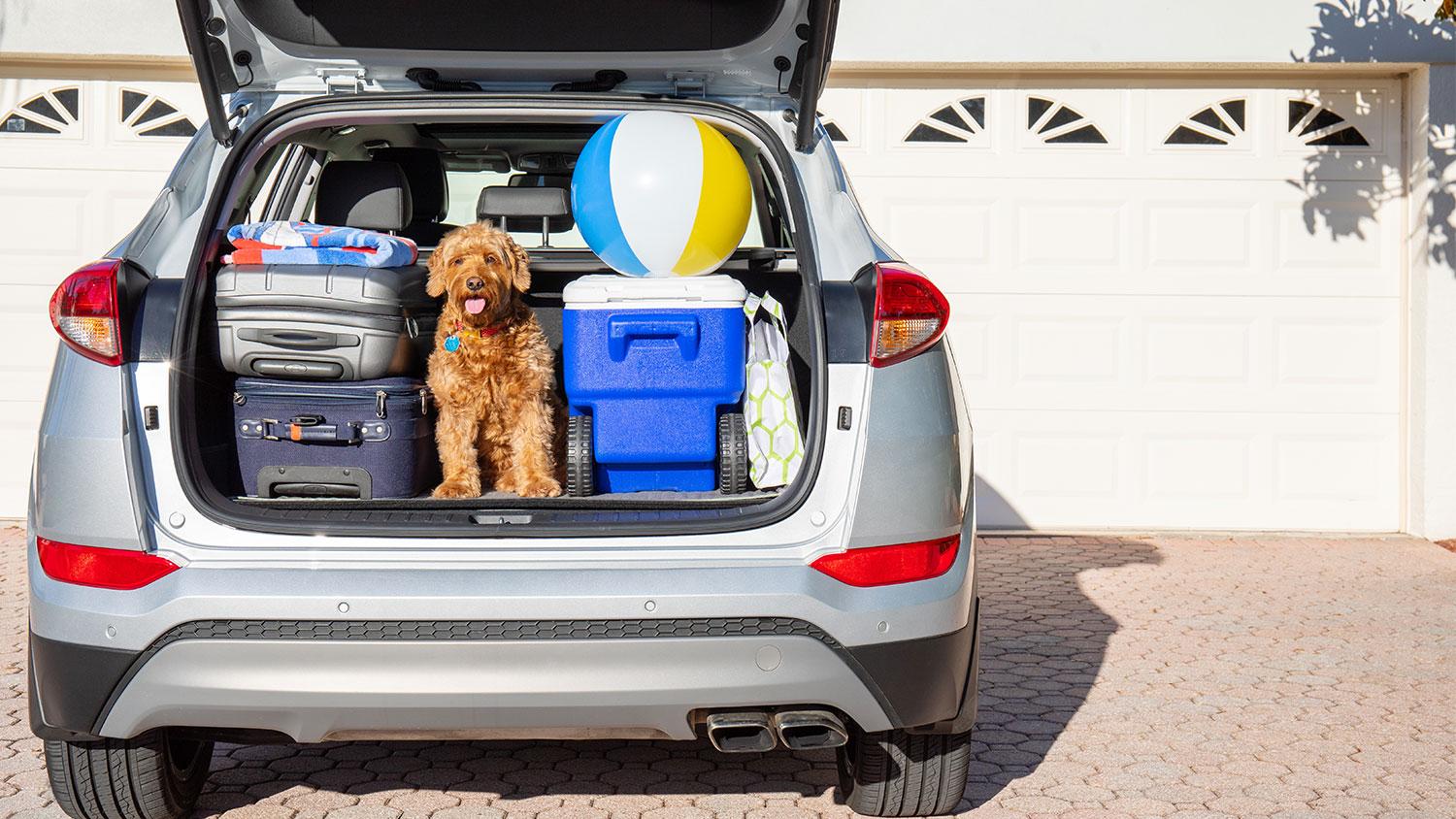 4 SAFETY PRECAUTIONS FOR THE HOLIDAYING HOMEOWNER