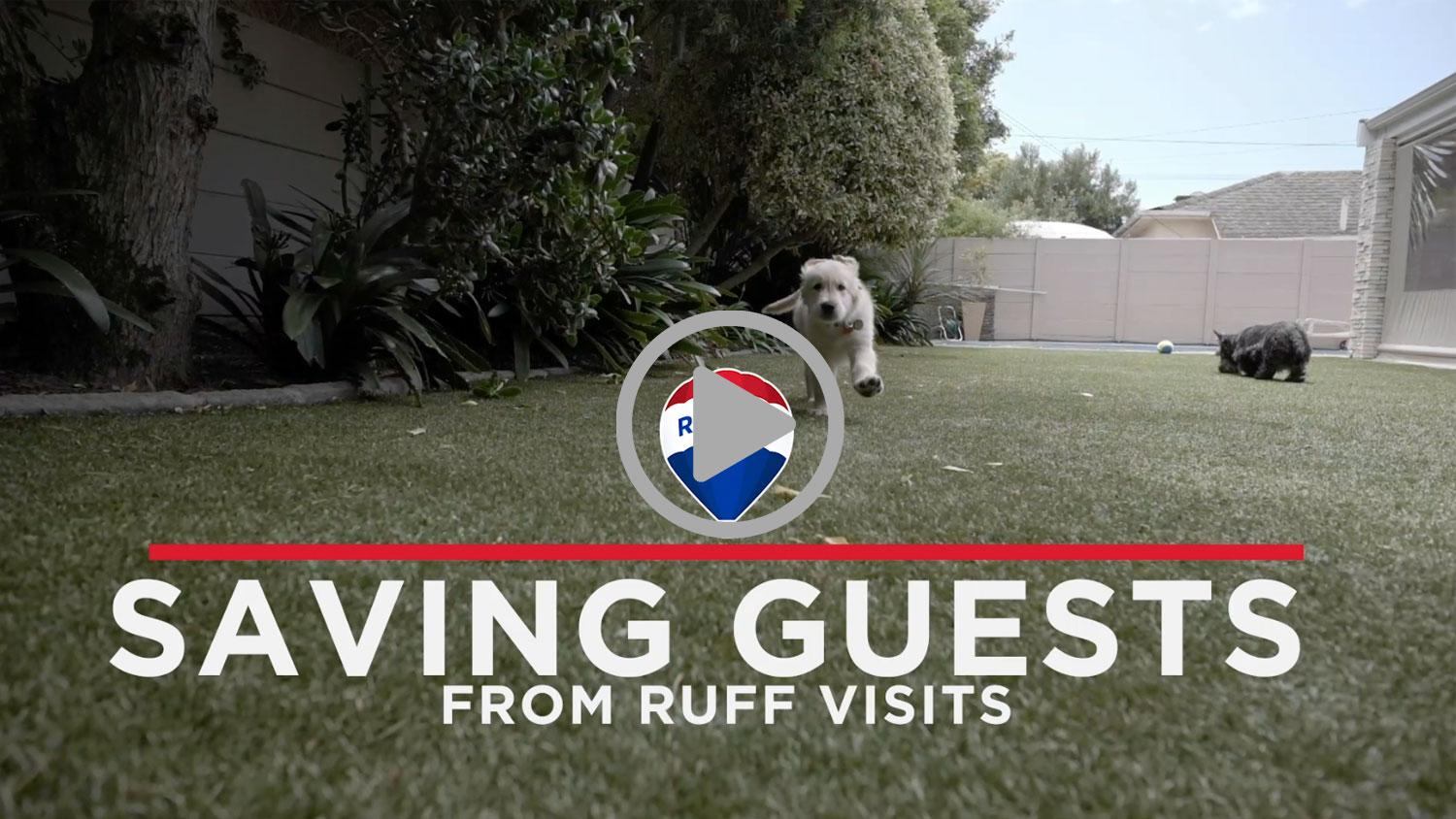 HOME PREPARATIONS FOR PET-PHOBIC VISITORS