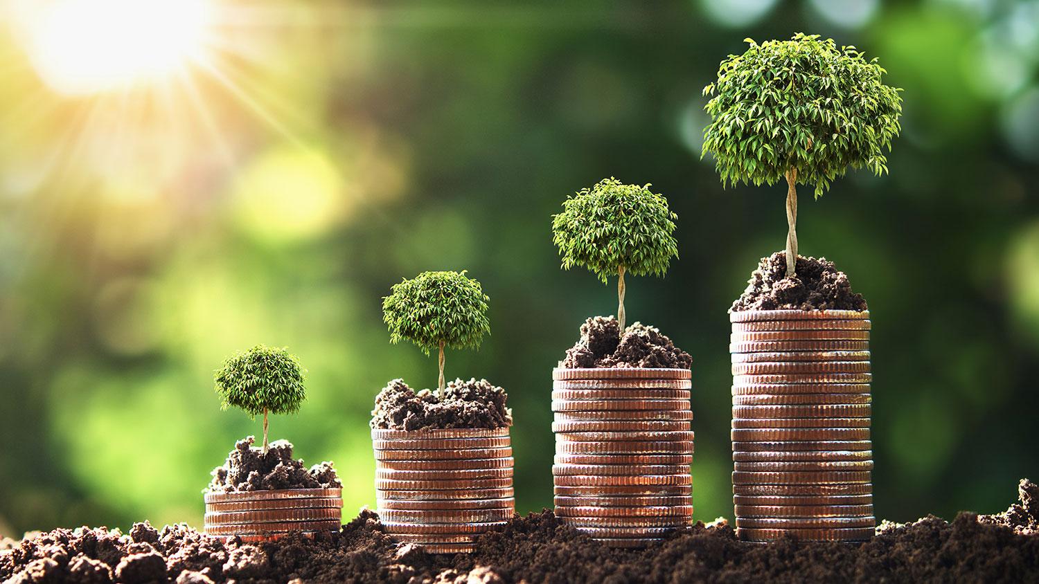Eco-friendly features that increase home value and those that don’t
