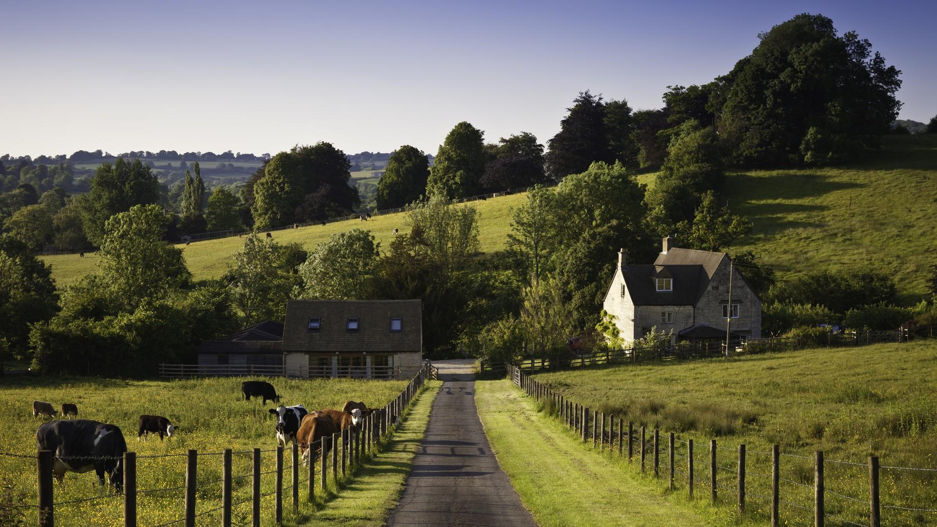 HOW SERVITUDES CAN AFFECT PROPERTY VALUES
