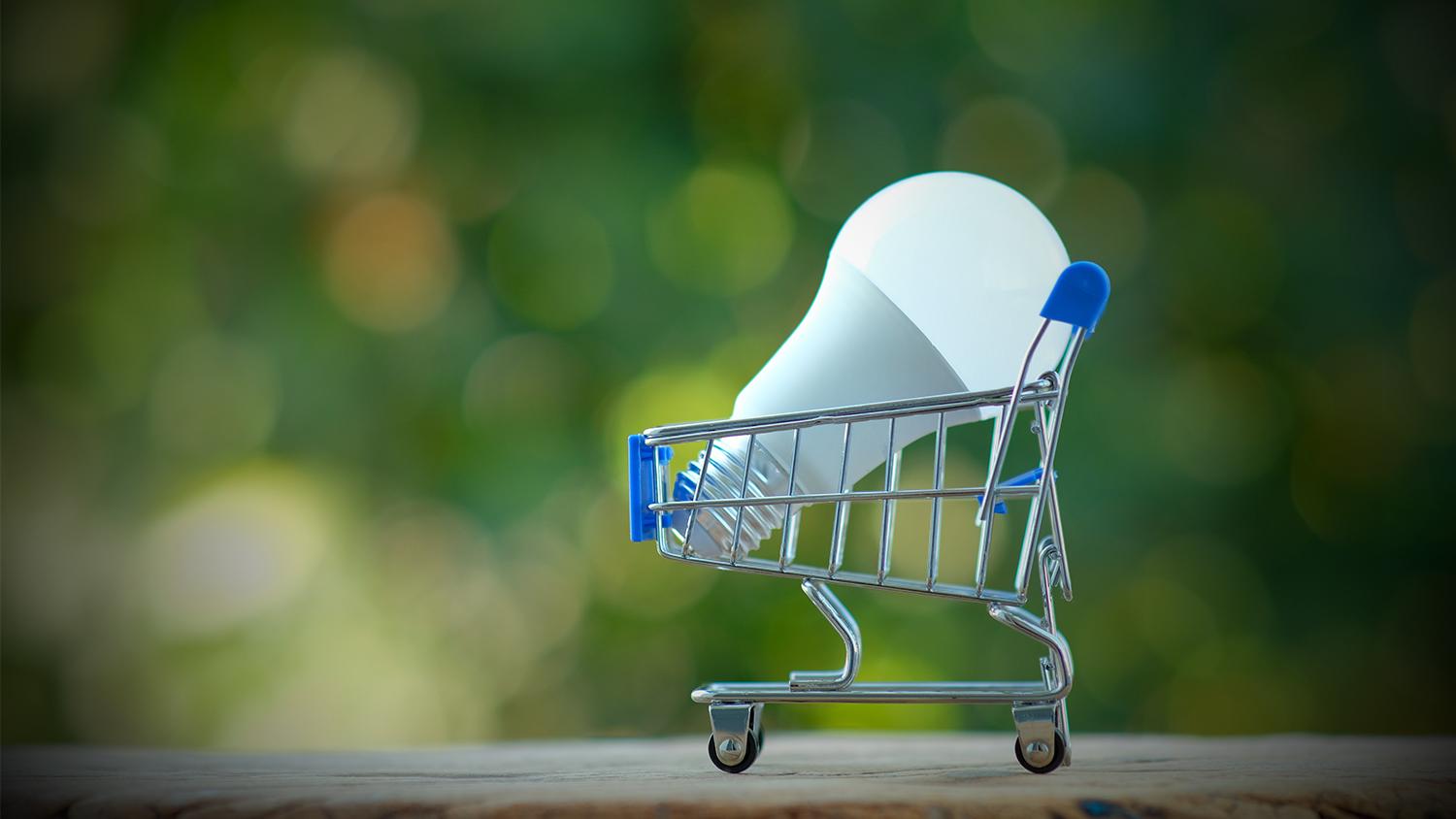 when renting, who pays for utilities?