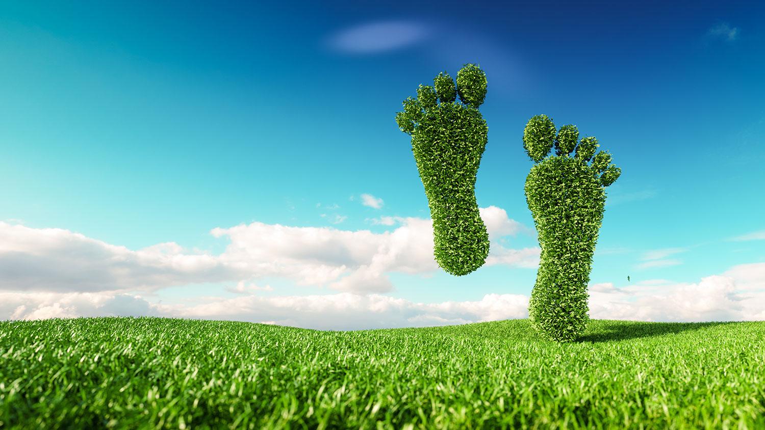 4 EASY WAYS TO REDUCE YOUR CARBON FOOTPRINT