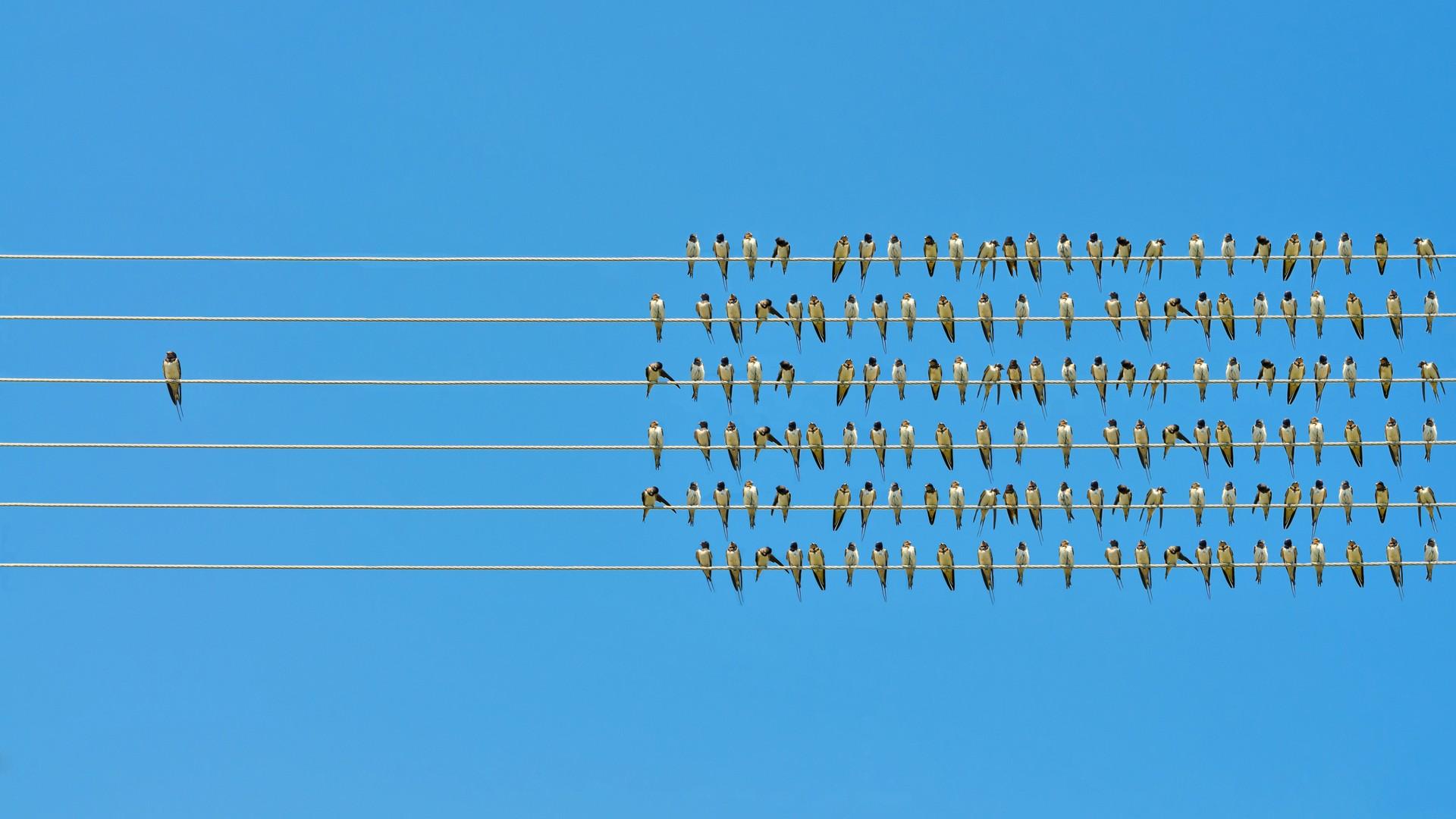 location, location, location